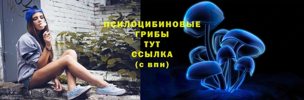PSILOCYBIN Верхний Тагил