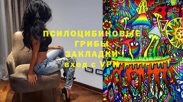 ПСИЛОЦИБИНОВЫЕ ГРИБЫ Верея