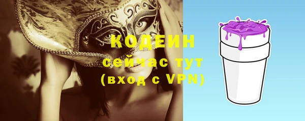 ПСИЛОЦИБИНОВЫЕ ГРИБЫ Верея