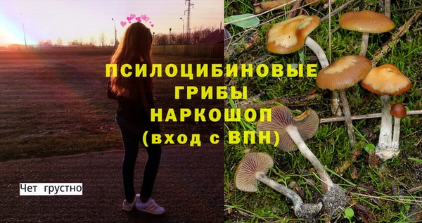 ПСИЛОЦИБИНОВЫЕ ГРИБЫ Верея