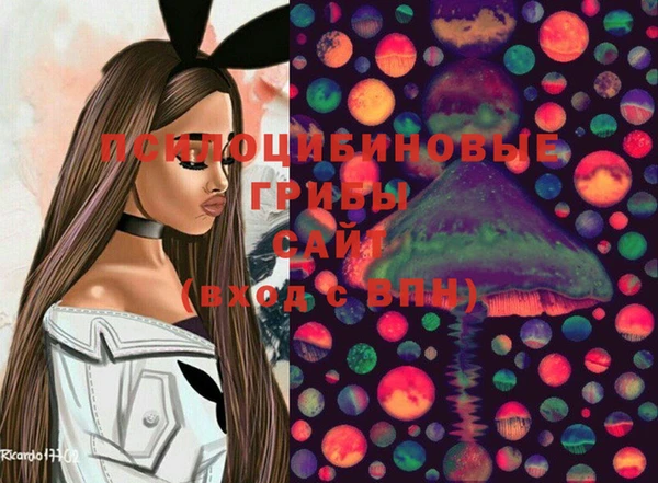 PSILOCYBIN Верхний Тагил
