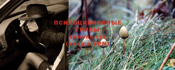 PSILOCYBIN Верхний Тагил