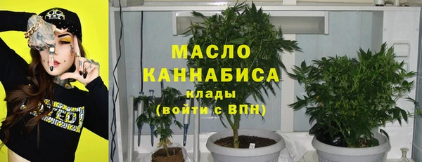 ПСИЛОЦИБИНОВЫЕ ГРИБЫ Верея
