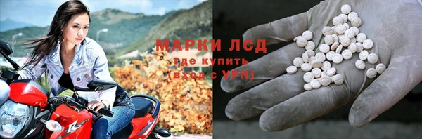 PSILOCYBIN Верхний Тагил