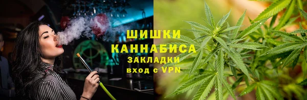 ПСИЛОЦИБИНОВЫЕ ГРИБЫ Верея